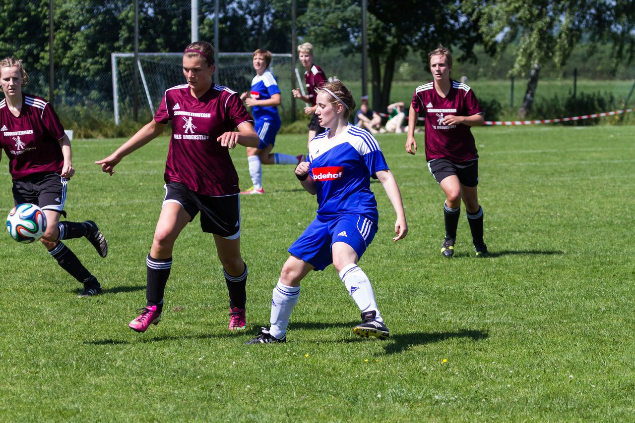 Bild 203 - Frauen SG Wilstermarsch - FSC Kaltenkirchen Aufstiegsspiel : Ergebnis: 2:1